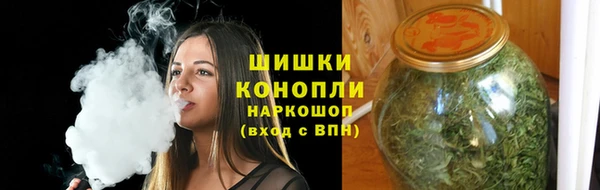СК Аркадак