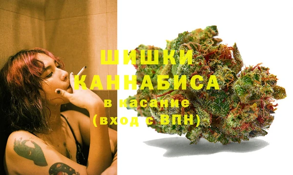 СК Аркадак