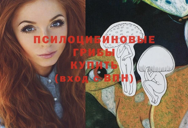 скорость Арсеньев